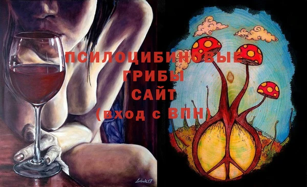 Альфа ПВП Бугульма