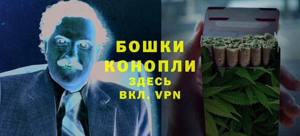 гашик Бородино